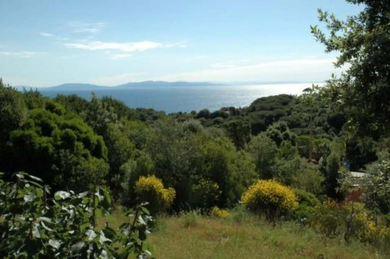 Apartment Appartamenti Le Querce App. Ginestra Capoliveri